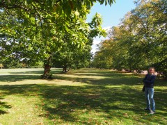 Greenwich Park