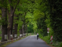 Berlin 2023. Grunewald
