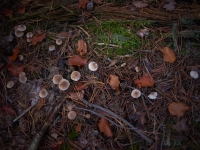 Осень. %!s(<nil>)