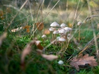 Осень. %!s(<nil>)