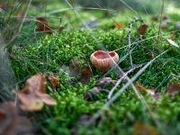 Autumn. %!s(<nil>)