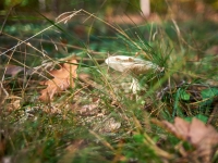 Autumn. %!s(<nil>)