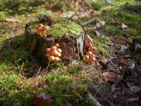 Autumn. %!s(<nil>)