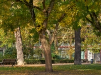 Autumn. %!s(<nil>)
