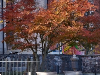 Autumn. %!s(<nil>)