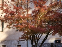 Осень. %!s(<nil>)