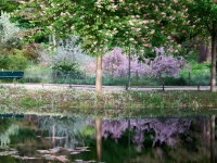 More pictures from Berlin in May. %!s(<nil>)