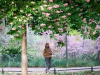 More pictures from Berlin in May. %!s(<nil>)