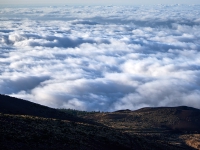 Tenerife. Above the clouds. About 2400 metres above sea level