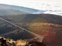 Tenerife. 