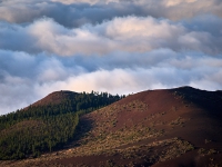 Tenerife. 