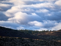 Tenerife. 
