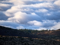 Tenerife. 