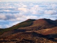 Tenerife. 