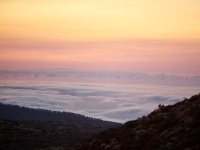 Tenerife. 
