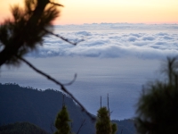 Tenerife. 