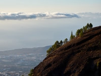 Tenerife. 