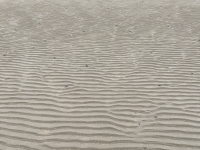 Journey to Ireland. Low tide
