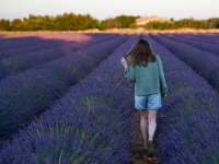 Lavender fields. %!s(<nil>)