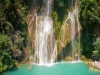 Лавандовые поля. %!s(<nil>)