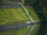 Зимний Берлин. Фото сделаны в середине декабря 2025 и начале января 2026