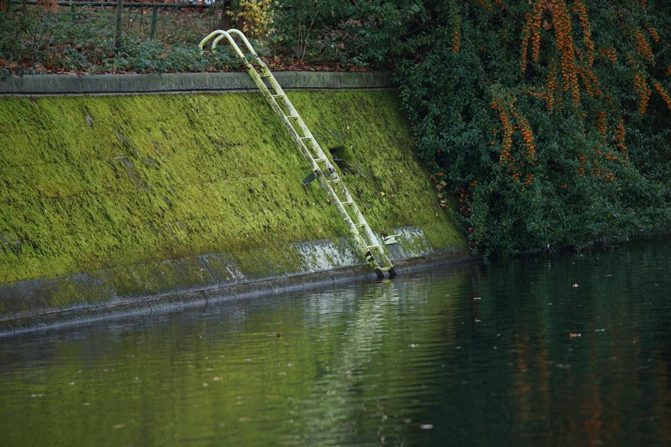 Фото сделаны в середине декабря 2025 и начале января 2026