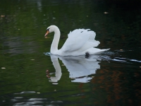 Зимний Берлин. 