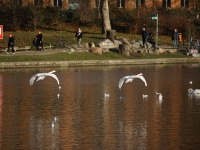 Зимний Берлин. 