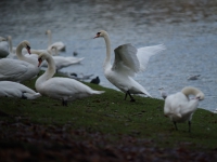 Зимний Берлин. 