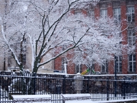 Зимний Берлин. 