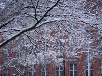 Зимний Берлин. 