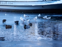 Зимний Берлин. 